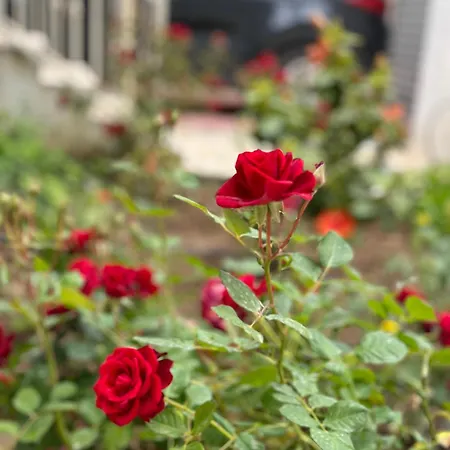 Mediterranean Old Town * Vlorë