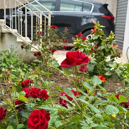 Mediterranean Old Town * Vlorë